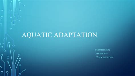 Solution Aquatic Adaptations Studypool