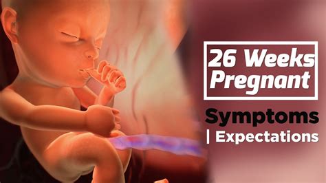 26 Weeks Pregnant Pregnancy Week By Week Symptoms The Voice Of Woman Youtube