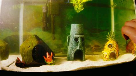 Timelaps 8yo How To Build A Spongebob Squarepants Fish Tank Aquarium