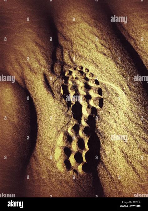 Footstep On Desert Sand Stock Photo Alamy