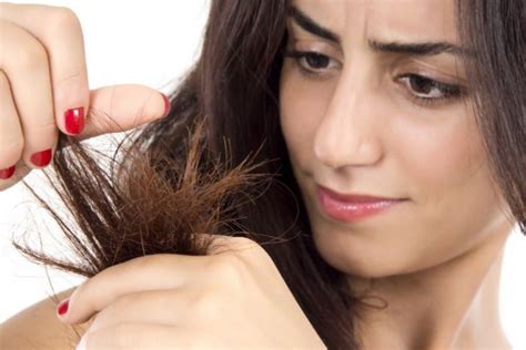 Cara Alami Merawat Rambut Rusak Dan Kering Agar Kembali Sehat Female