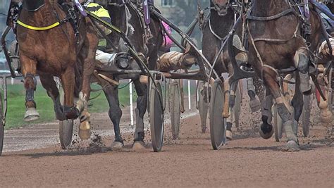 Horse Racing French Trotter Harness Racing At Racecourse Caen