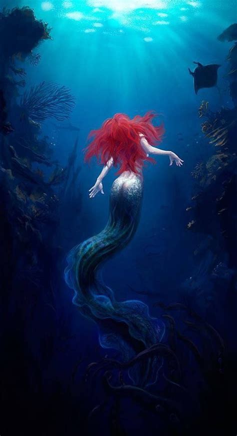 Dark Mermaid Siren Mermaid Mermaid Under The Sea Mermaid Tattoo The