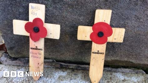 What S So Different About The Scottish Poppy Bbc News