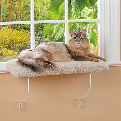 Comfy calming dog bed australia comfy comfortable pet bed petsmart cat calming spray feliway travel calming cat spray comfy round bed dog comfy faux dog bed hanging cat bed adults cat bed spacious warm calming dog bed xxl. Whisker City® Cozy Kitty Cushioned Window Perch | cat ...