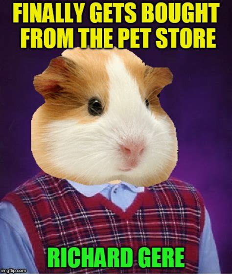 Hamster Meme Scared Hamster Know Your Meme Upvote On Reddit To