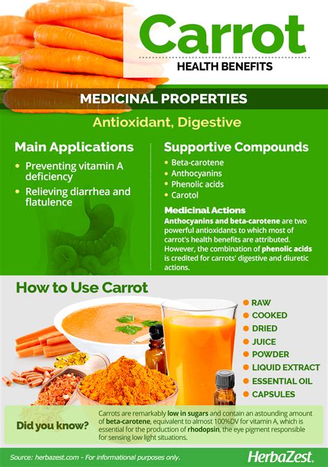 Carrot Herbazest Frutas Y Verduras Beneficios Beneficios De