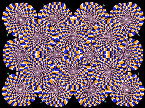 Optical Illusions Fotolip Riset