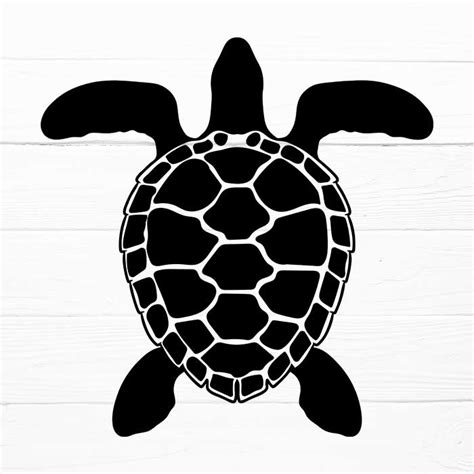 Sea Turtle Svg Free Collection For Cricut And Silhouette