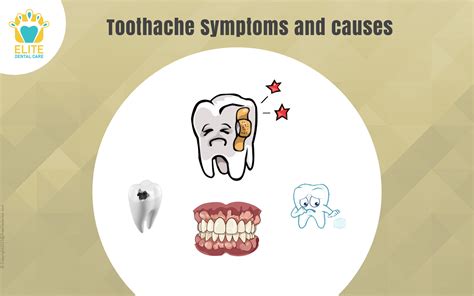 Toothache Symptoms And Causes Elite Dental Care
