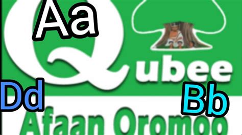 Lets Learn Oromoo Alphabetqubee Afaan Oromoo Haa Barannuu Youtube