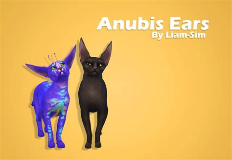 Liam Sim Anubis Ears For Deaf Cats Lol Suggest By Anon Download