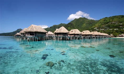 Moorea Island Travel Guide And Vacation Packages