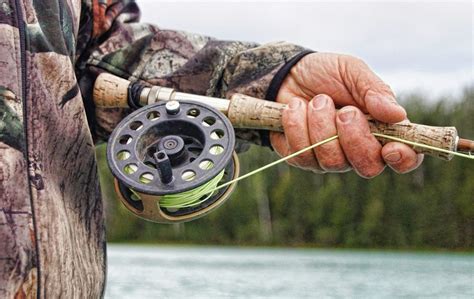 How To Choose The Right Fly Line The Complete Beginners Guide