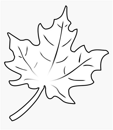 Transparent Fall Leaf Outline Png Drawing Fall Leaf Png Download