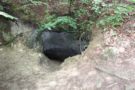 Cave Entrance Stock Image Image Of Located Large Hidden 195088605