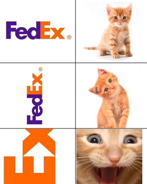 Vertical Zoomed Fedex Makes Smol Kitty Happy