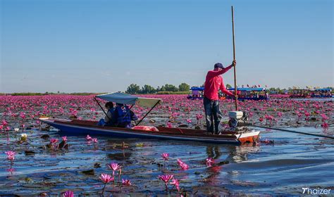Visiting The Red Lotus Lake Udon Thani