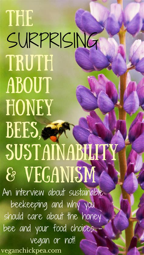 The Surprising Truth About Honey Bees Sustainability And Veganism