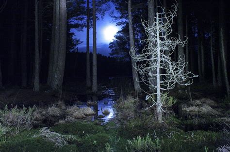 Moonlight Shadows James Gordon Photography