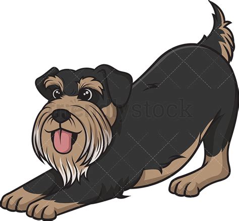 Standard Schnauzer Running Cartoon Clipart Vector FriendlyStock