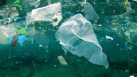 Un Bericht „hier Sind Die Dinge Die Man Tun Muss Um Die Ozeane Von Plastik Zu Befreien“