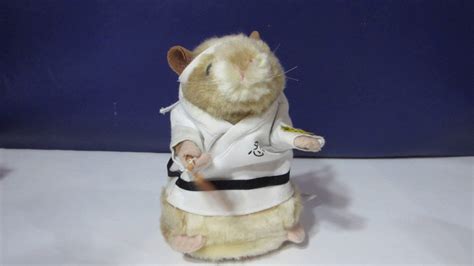 Kung Fu Gemmy Dancing Hamster Youtube