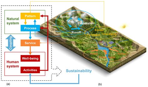 Esd Coupling Human And Natural Systems For Sustainability Experience