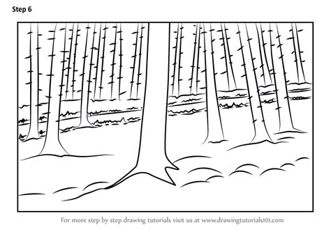 Learn How To Draw Forest Trees Forests Step By Step Drawing