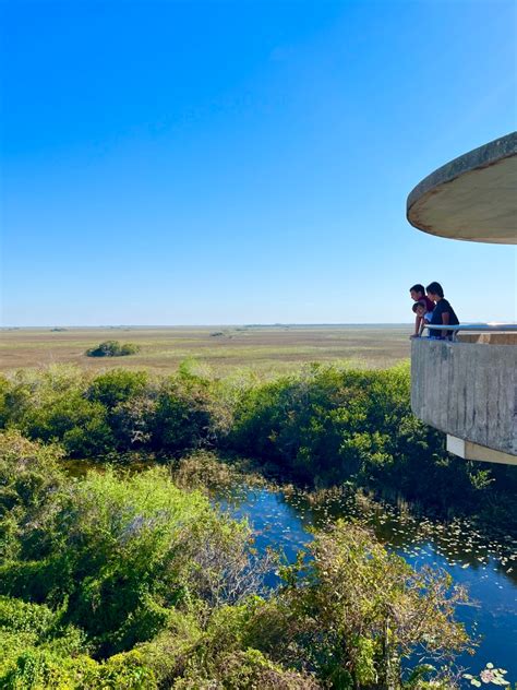 Shark Valley Everglades National Park Florida Away We Wander And