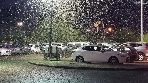 Las Vegas Grasshopper Invasion Is So Big You Can See It On Weather