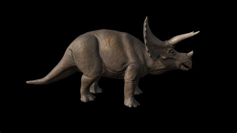 Triceratops Horridus Download Free 3d Model By Iagomendez Cb7bad2 Sketchfab
