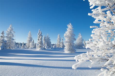 Pure Snow Adam Hill Flickr