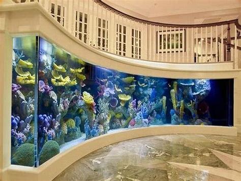 Gorgeous 30 Stunning Aquarium Design Ideas For Indoor Decorations