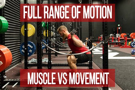Full Range of Motion: Muscle vs Movement - N1 Training