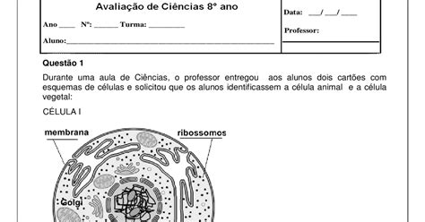 Atividade Células 6 Ano
