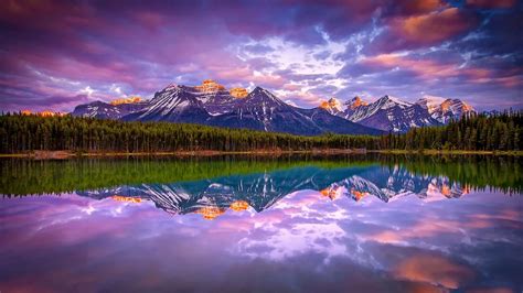 Lake Mountain Reflection Sunrise Canada Snowy Peak Trees Mist Forest