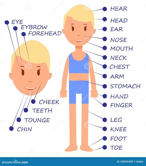 Lista 91 Foto Partes Del Cuerpo Humano En Francais Mirada Tensa