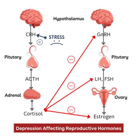 Cureus Depression And Its Effect On The Menstrual Cycle