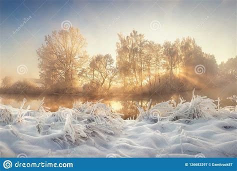 Beautiful Winter Frosty Landscape Of Wild Nature With