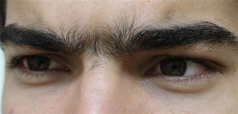 Unibrow Hair Growth For Men Unibrow Eyebrow Grooming