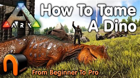 Ark How To Tame A Dinosaur Everything You Need To Know To Start Taming