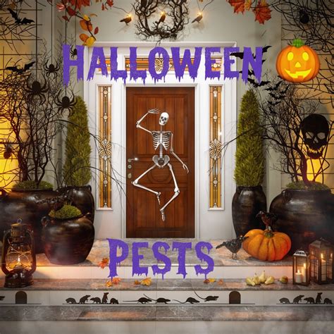 Dont Be Spooked By Halloween Pests Pestcheck Pest Control Blog
