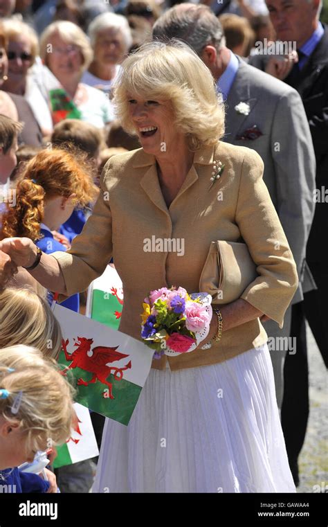 Royal Charles Half Length Mid Top Smile Smiling England Mangrs High Resolution Stock Photography