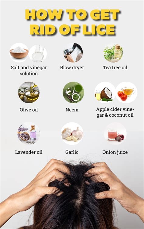 9 Home Remedies For How To Get Rid Of Head Lice Be Beautiful India
