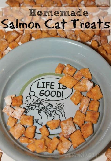 Homemade Salmon Cat Treats Recipe Miss Molly Says