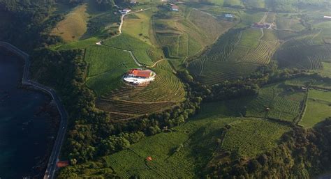 Basque County Wine Regions Spain