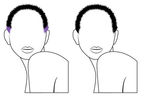Realist looking vector hair for use with the ai brush tool. How to Vector Hair With Brushes in Adobe Illustrator