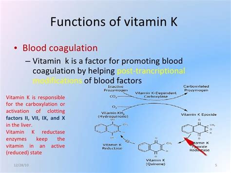 Vitamin K Tool To Control The Osteophrosis