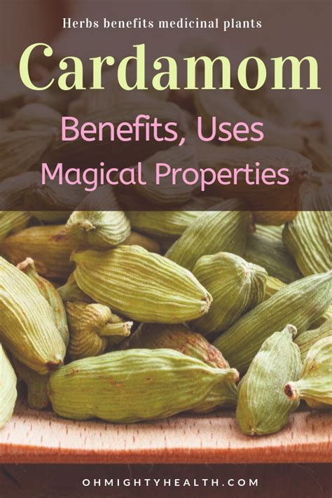 Cardamom Health Benefits Uses And Magical Properties Oh Mighty Health